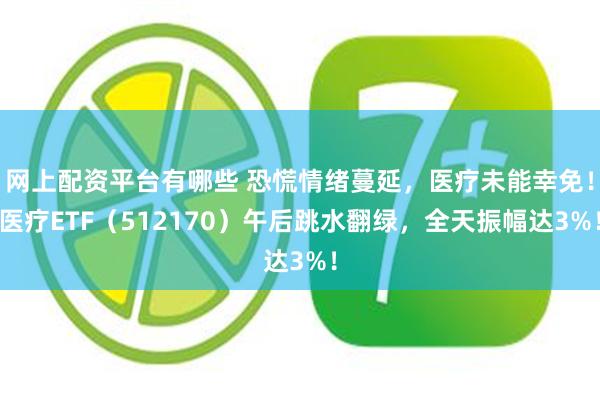 网上配资平台有哪些 恐慌情绪蔓延，医疗未能幸免！医疗ETF（512170）午后跳水翻绿，全天振幅达3%！