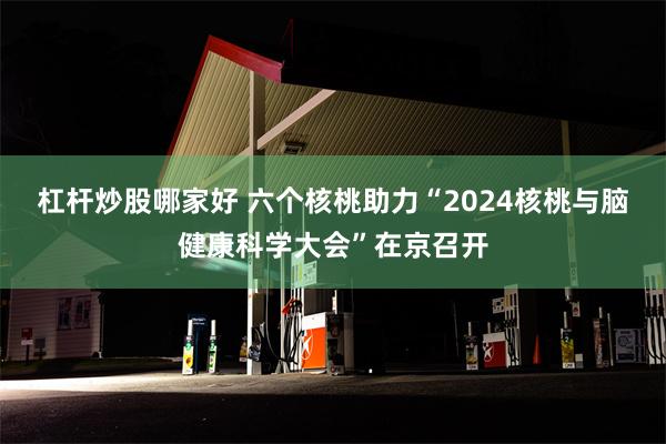 杠杆炒股哪家好 六个核桃助力“2024核桃与脑健康科学大会”在京召开