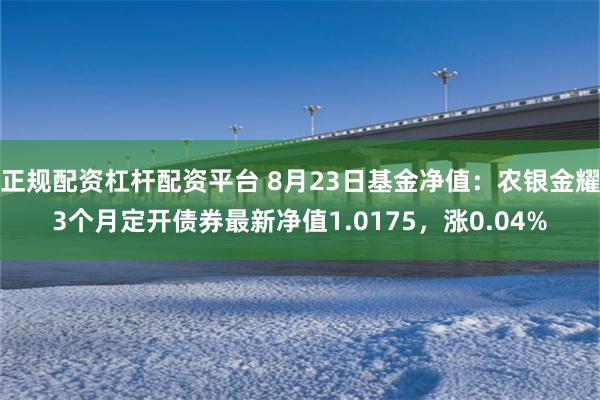 正规配资杠杆配资平台 8月23日基金净值：农银金耀3个月定开债券最新净值1.0175，涨0.04%