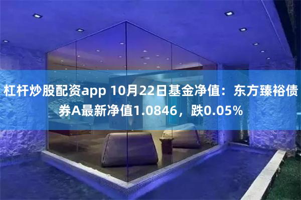 杠杆炒股配资app 10月22日基金净值：东方臻裕债券A最新净值1.0846，跌0.05%