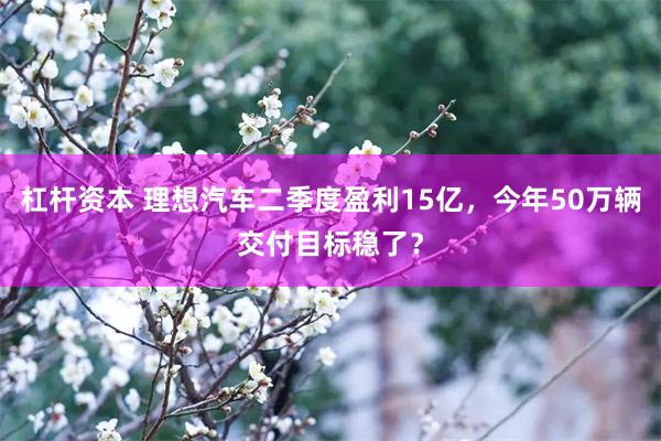 杠杆资本 理想汽车二季度盈利15亿，今年50万辆交付目标稳了？