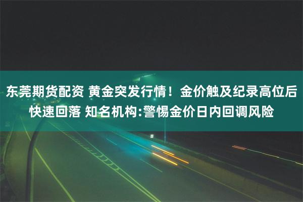 东莞期货配资 黄金突发行情！金价触及纪录高位后快速回落 知名机构:警惕金价日内回调风险