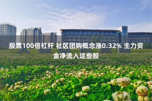 股票100倍杠杆 社区团购概念涨0.32% 主力资金净流入这些股