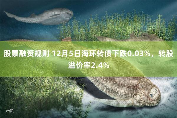 股票融资规则 12月5日海环转债下跌0.03%，转股溢价率2.4%