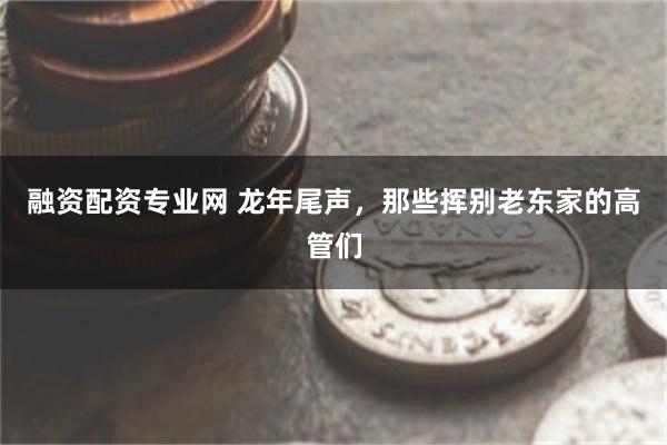 融资配资专业网 龙年尾声，那些挥别老东家的高管们