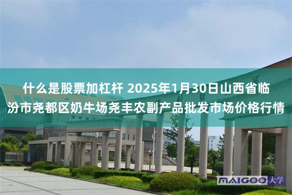 什么是股票加杠杆 2025年1月30日山西省临汾市尧都区奶牛场尧丰农副产品批发市场价格行情