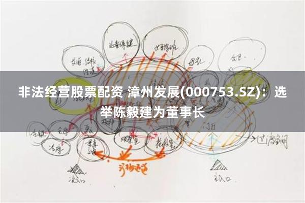 非法经营股票配资 漳州发展(000753.SZ)：选举陈毅建为董事长