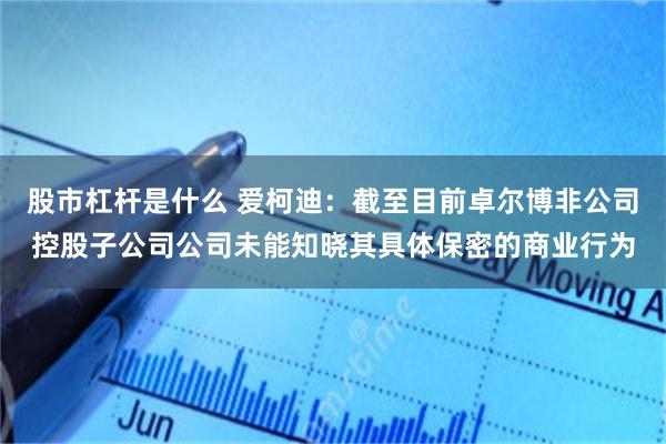 股市杠杆是什么 爱柯迪：截至目前卓尔博非公司控股子公司公司未能知晓其具体保密的商业行为