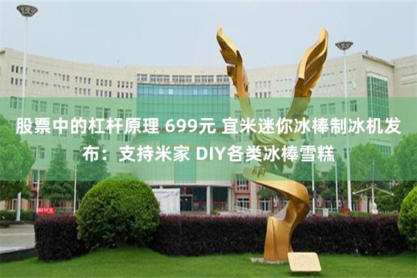 股票中的杠杆原理 699元 宜米迷你冰棒制冰机发布：支持米家 DIY各类冰棒雪糕