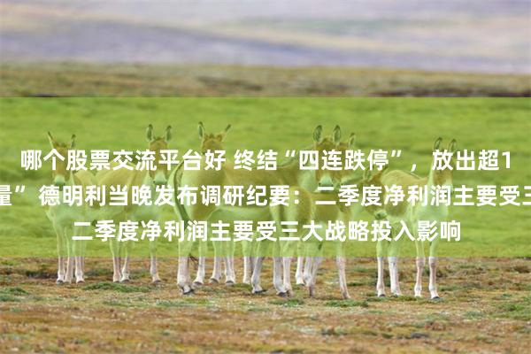 哪个股票交流平台好 终结“四连跌停”，放出超188亿元历史“天量” 德明利当晚发布调研纪要：二季度净利润主要受三大战略投入影响