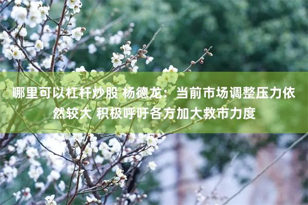 哪里可以杠杆炒股 杨德龙：当前市场调整压力依然较大 积极呼吁各方加大救市力度