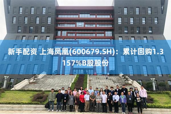 新手配资 上海凤凰(600679.SH)：累计回购1.3157%B股股份