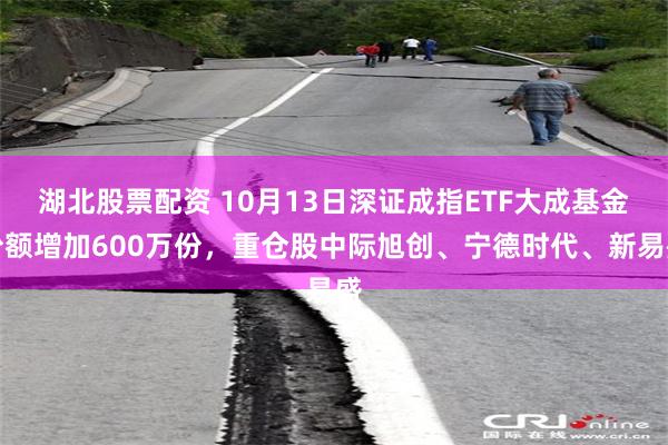 湖北股票配资 10月13日深证成指ETF大成基金份额增加600万份，重仓股中际旭创、宁德时代、新易盛